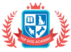 dog behaviour training professional courses