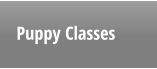 Puppy Classes