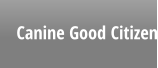 Canine Good Citizen