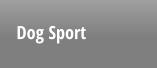 Dog Sport