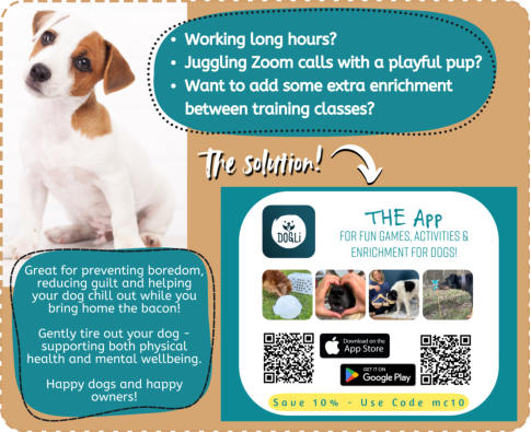 dogli app promotional image