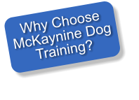 Why Choose McKaynine Dog Training?