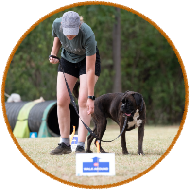 boxer dog and handler enjoying rally obedience