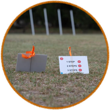 close up of rally signs used during rally dog obedience