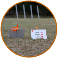 close up of rally signs used during rally dog obedience