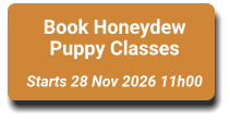 Book Honeydew Puppy Classes  Starts 28 Nov 2026 11h00
