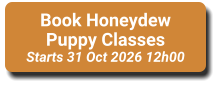 Book Honeydew Puppy Classes Starts 31 Oct 2026 12h00